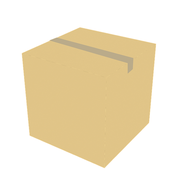 Stěhovací krabice